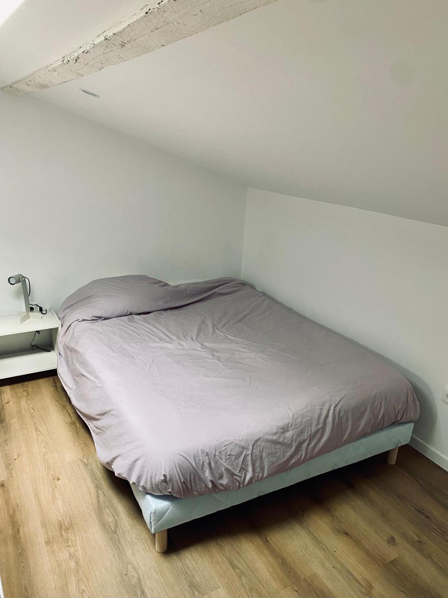 L'echappee Belle D'albi Appartement Albi